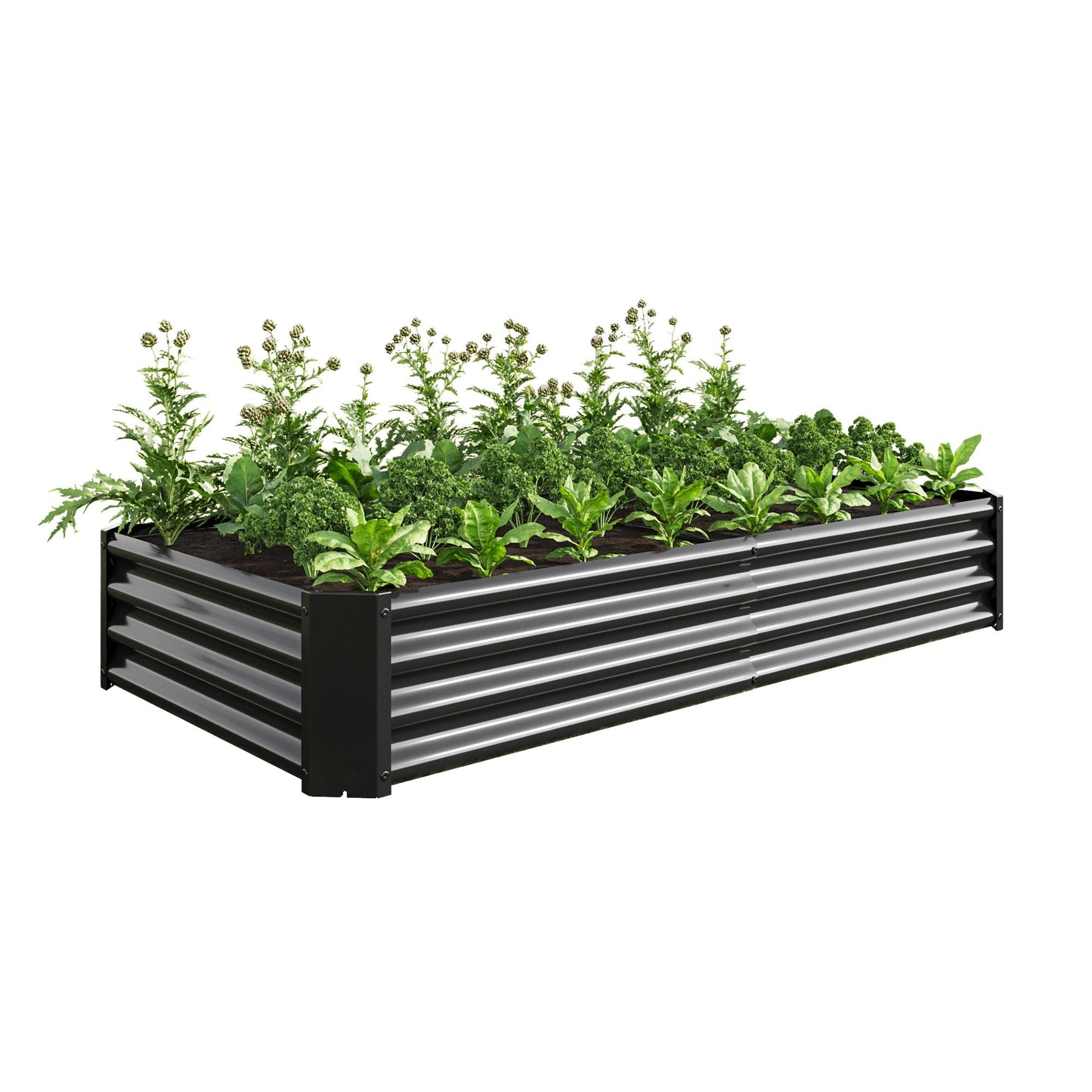 Raised Garden Bed 6×3×1 ft