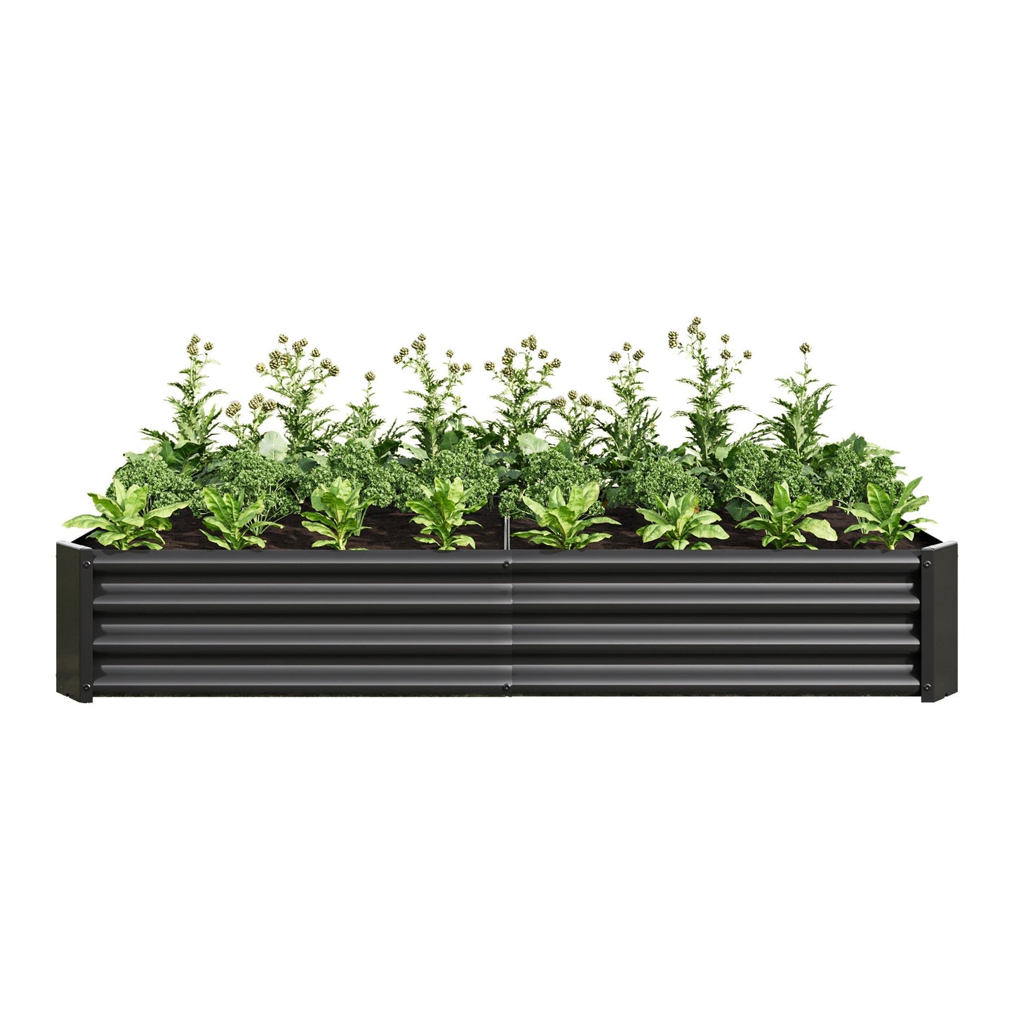 Raised Garden Bed 6×3×1 ft