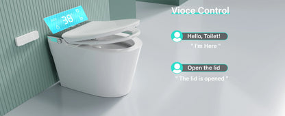 Smart Toilet with Bidet