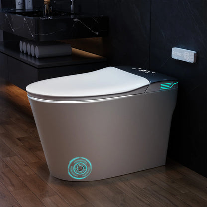 Smart Toilet with Bidet