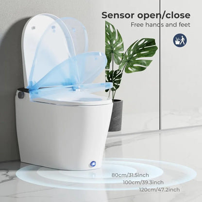 Toilets with Bidet Features