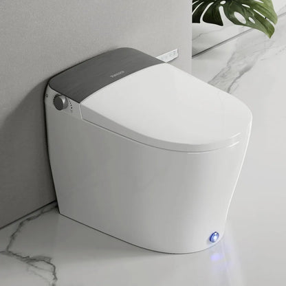 Toilets with Bidet Features