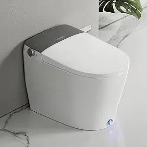 Toilets with Bidet Features