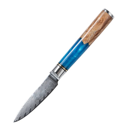 Damascus Steel Kitchen Knife Set