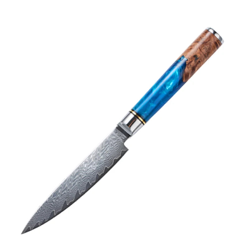 Damascus Steel Kitchen Knife Set