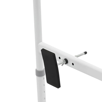 Toilet Grab Bar