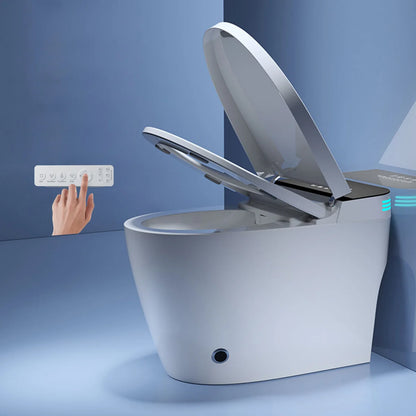 Smart Toilet with Heated Bidet Seat