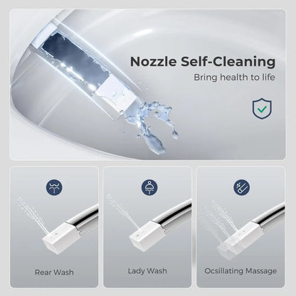 Toilets with Bidet Features