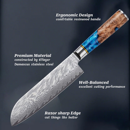 Damascus Steel Kitchen Knife Set