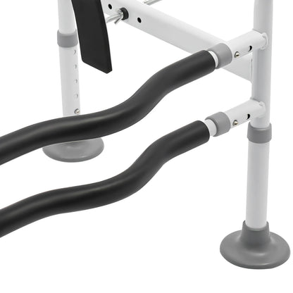 Toilet Grab Bar