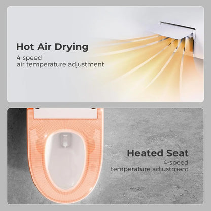 Toilets with Bidet Features