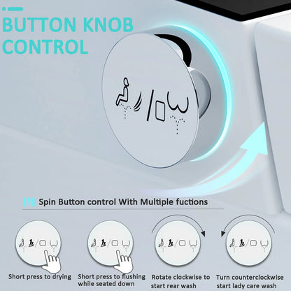 Smart Toilet with Heated Bidet Seat