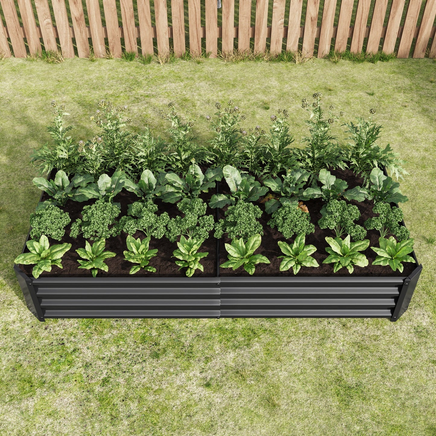 Raised Garden Bed 6×3×1 ft